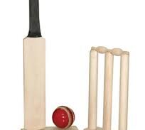  চ্যাম্পিয়ন মাহমুদউল্লাহ একাদশ