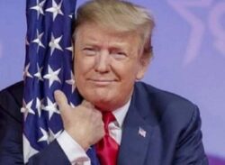 মিশিগানে ট্রাম্পের ‘ভোট গণনা স্থগিত’ মামলা খারিজ