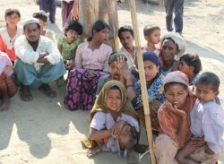 মামলা পরিচালনায় ওআইসিকে ৫ লাখ ডলার দিয়েছে বাংলাদেশ।