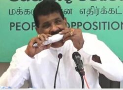 মাছে কামড় বসালেন সাবেক মন্ত্রী।