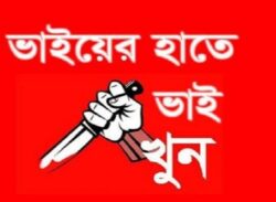 ভাইয়ের হাতে ভাই খুন!