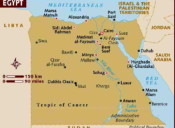 সিনাইয়ে হেলিকপ্টার দুর্ঘটনায় ৭ শান্তিরক্ষী নিহত