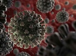 রাত আটটার পর দোকানপাট বন্ধ থাকবে বগুড়ায়।