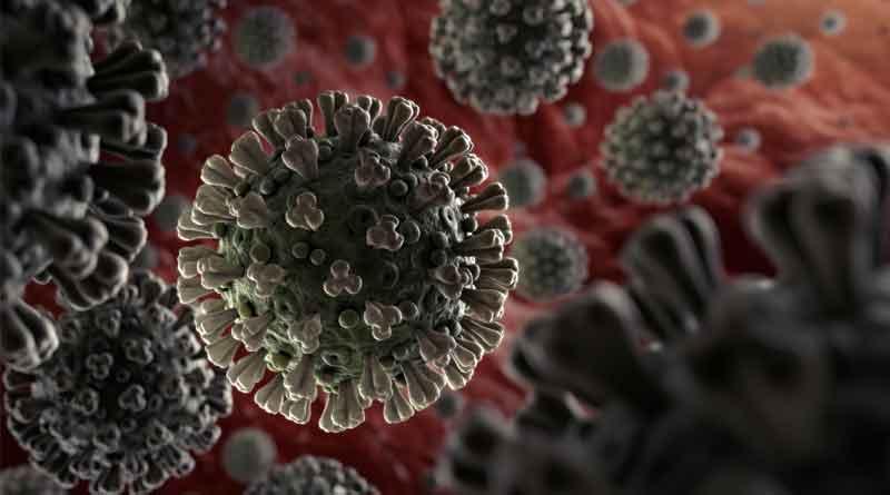 রাত আটটার পর দোকানপাট বন্ধ থাকবে বগুড়ায়।