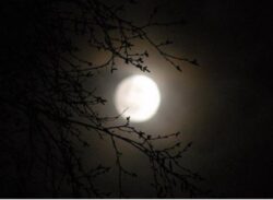 আজ ২১ ডিসেম্বর সবচেয়ে বড় রাত, আগামীকাল ছোট দিন।