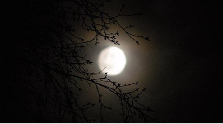 আজ ২১ ডিসেম্বর সবচেয়ে বড় রাত, আগামীকাল ছোট দিন।