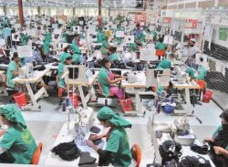 সাড়ে ৭ হাজারের অর্ধেকই জাল!