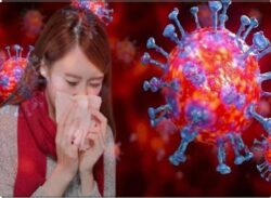 বাংলাদেশে করোনা ভাইরাসের নতুন স্ট্রেইন শনাক্তকরণ।