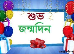 শুভ জন্মদিন রিপোর্টার ইসরাত জাহান কনিকা!