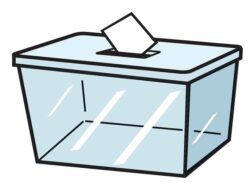 ধনী প্রার্থী বেশি আওয়ামী লীগে, বিএনপিতে মামলার বোঝা