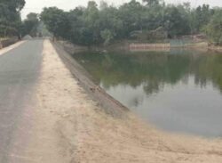 সড়ক ঘেঁষে পুকুর, বছর না পেরুতেই ক্ষতিগ্রস্ত হচ্ছে বাগমারায়।