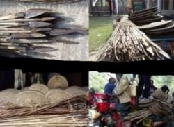 আওয়ামী লীগ নেতার বাড়ি থেকে বিপুল পরিমাণ দেশীয় অস্ত্র উদ্ধার, আটক ২