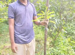 নওগাঁয় এডুকেশন ডেভেলপমেন্ট সোসাইটির উদ্দোগে বৃক্ষরোপন কর্মসূচি শুরু।