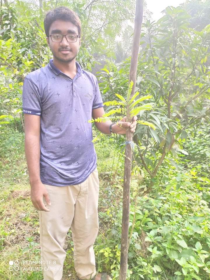 নওগাঁয় এডুকেশন ডেভেলপমেন্ট সোসাইটির উদ্দোগে বৃক্ষরোপন কর্মসূচি শুরু।