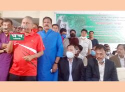 ভোট চাইলেন এমপি একরাম সেতুমন্ত্রীর ভাইয়ের জন্য