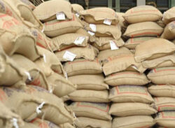 বাজার নিয়ন্ত্রণে এক লাখ টন চাল আমদানির অনুমতি।