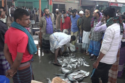 পোর্ট রোডে বরিশালের  মোকামে ইলিশসহ সব মাছের আকাল!