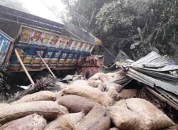 আলু বোঝাই ট্রাক উল্টে নিহত ১