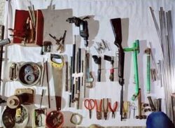 অস্ত্র মিলল কবুতরের বাসায় !