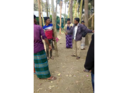 দুই ছাত্রকে চুরির মিথ্যা অভিযোগ দিয়ে গাছের সঙ্গে বেঁধে পেটাল!