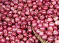 গলার কাটা এখন ভারতীয় পেঁয়াজ: অতিলোভীদের!