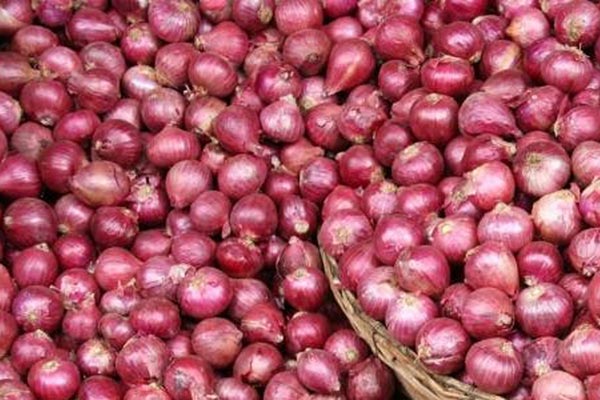 গলার কাটা এখন ভারতীয় পেঁয়াজ: অতিলোভীদের!