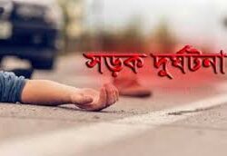 সড়ক দুর্ঘটনায় নিহত ২