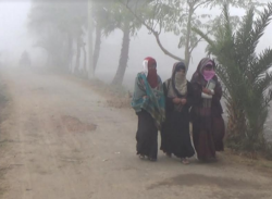 জনজীবন বিপর্যস্ত তীব্র শীতে ও কুয়াশা!