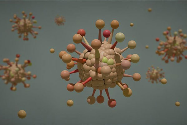 আরেকটি রূপ শনাক্ত করোনার ব্রাজিলে