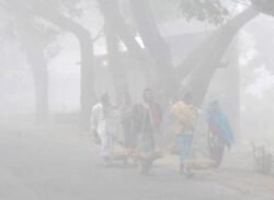 তীব্র মাত্রায় শৈত্যপ্রবাহ রূপ নেওয়ার শঙ্কা শুক্রবার থেকে