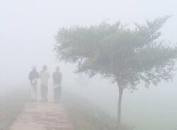 হাড় কাঁপানো শীত!