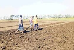 পলিমাটি নিতে চায় মালদ্বীপ: বাংলাদেশ