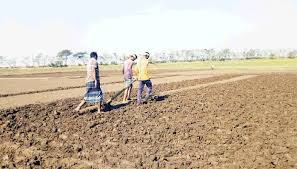 পলিমাটি নিতে চায় মালদ্বীপ: বাংলাদেশ