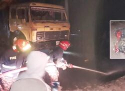 বিরল উপজেলায় ট্রাকচাপায় নিহত তিন!