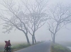 শৈত্যপ্রবাহ অব্যাহত থাকবে: শ্রীমঙ্গল