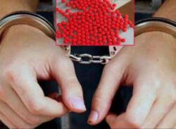 ইয়াবাসহ নেত্রকোনার যুবক আটক !