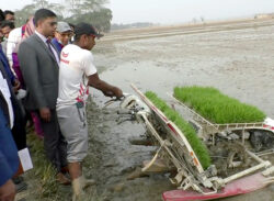 কলাপাড়ায় আধুনিক পদ্ধতিতে ক্ষেতে বীজ রোপণ