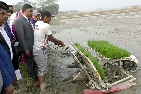 কলাপাড়ায় আধুনিক পদ্ধতিতে ক্ষেতে বীজ রোপণ