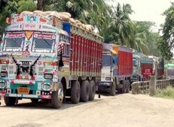 ভারত থেকে পেঁয়াজ আমদানি বন্ধ।