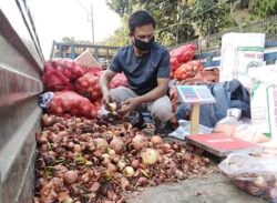 টিসিবি দিচ্ছে পচনধরা পেঁয়াজ!