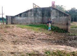 বাঘায় পদ্মার নদীর নালায় দুটি সেতু নিসঙ্গতায় ৪ বছর