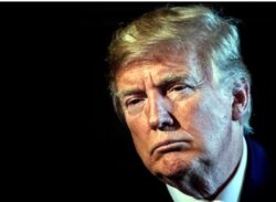 ট্রাম্পকে দুই বছরের জন্য নিষিদ্ধ করল ফেসবুক