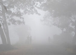 তীব্র শৈত্যপ্রবাহের পূর্বাভাস তিন জেলায়