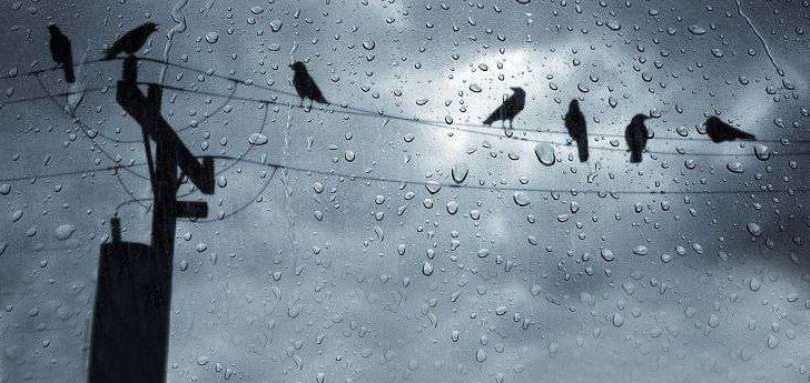 বৃষ্টির পূর্বাভাস বজ্রসহ গুঁড়ি গুঁড়ি