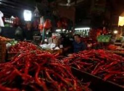 বিশ্ব রেকর্ড করলেন মরিচ খেয়ে!