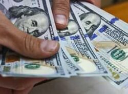 বছরের ১ম মাসেই প্রবাসী আয় এসেছে ১৯৬ কোটি ডলার