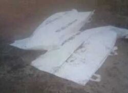 আগুনে পুড়ে নবদম্পতির মৃত্যু