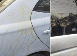 আবদুল কাদের মির্জার গাড়িবহরে হামলা।