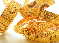 দুই প্রবাসী শ্রমিকের স্বর্ণ পাচারের রেকর্ড