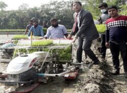 লক্ষ্মীপুরে সমলয়ে চাষাবাদ কর্মসূচির উদ্বোধন